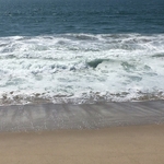 Venice Beach