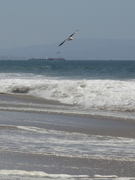 Venice Beach