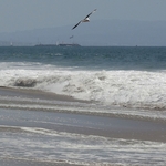 Venice Beach