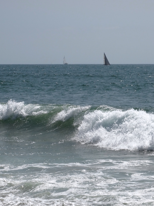 Venice Beach