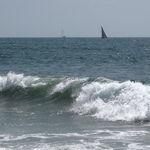 Venice Beach
