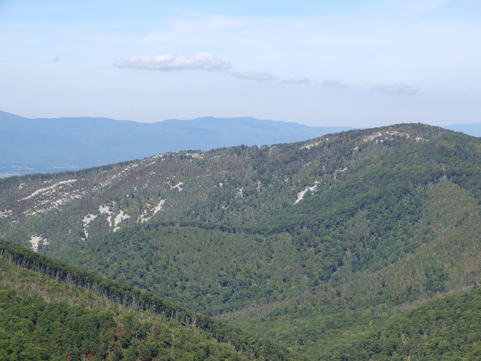 Skyline Drive