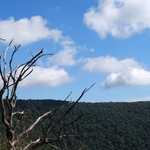 Skyline Drive