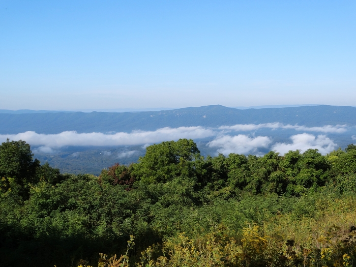 Skyline Drive