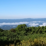 Skyline Drive