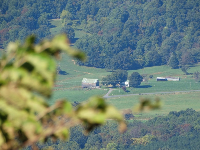 Skyline Drive
