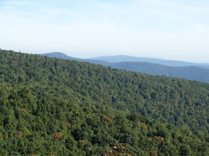 Skyline Drive