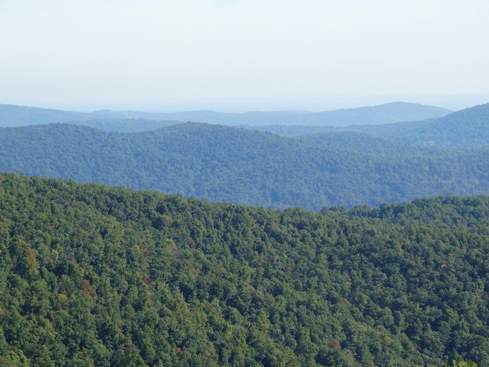 Skyline Drive