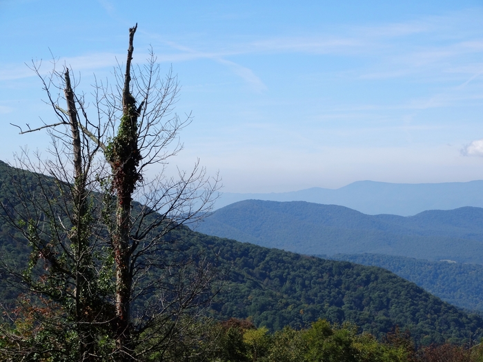 Skyline Drive