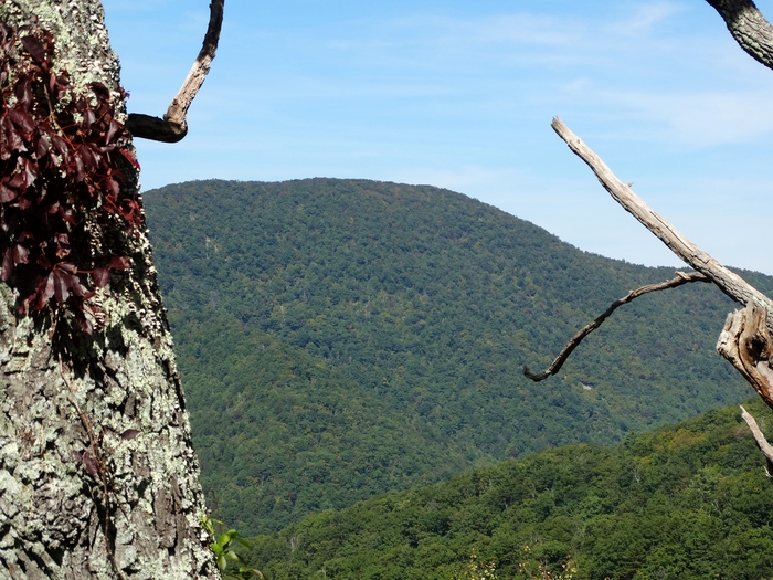 Skyline Drive
