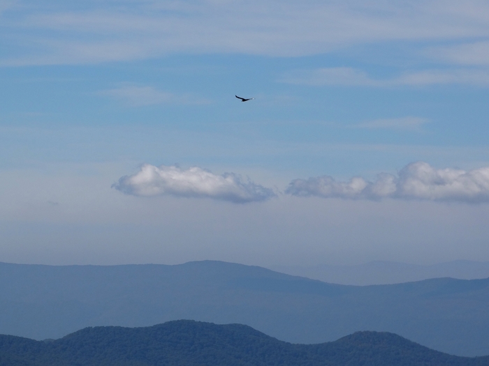 Skyline Drive