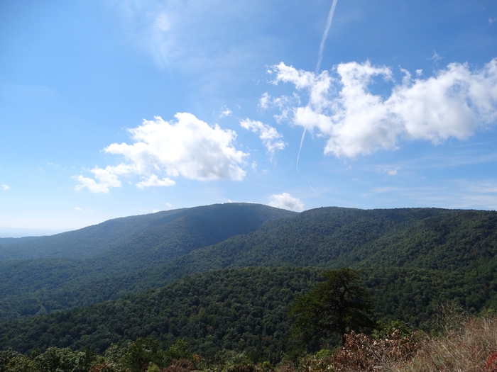 Skyline Drive