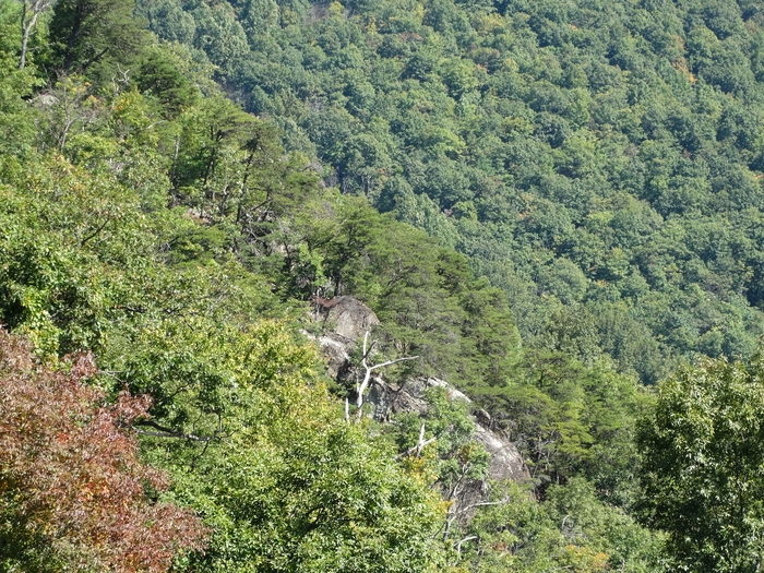 Skyline Drive