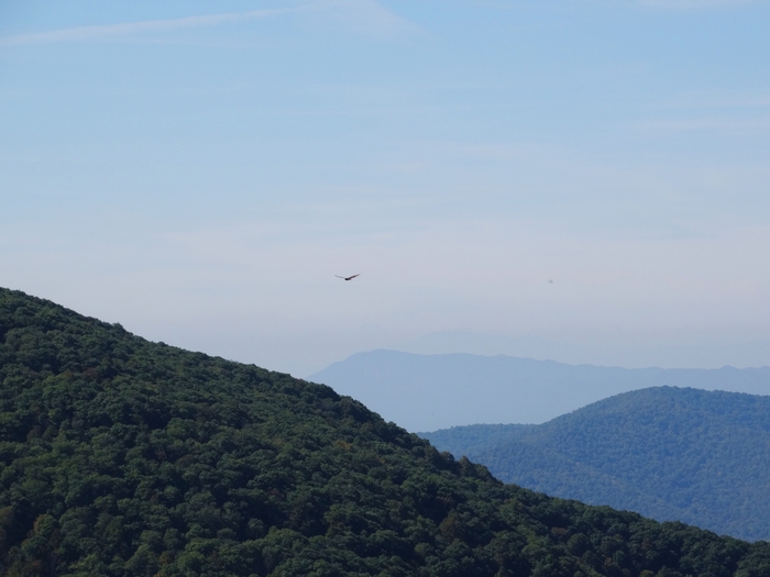 Skyline Drive