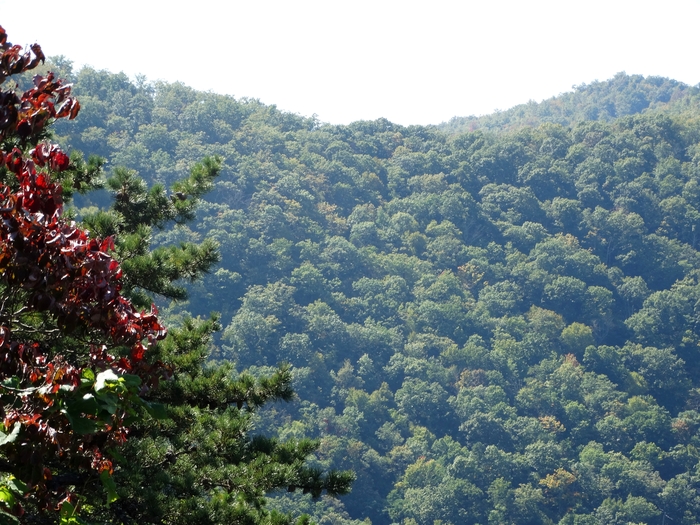 Skyline Drive