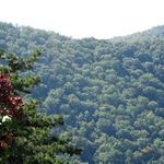 Skyline Drive