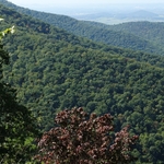 Skyline Drive