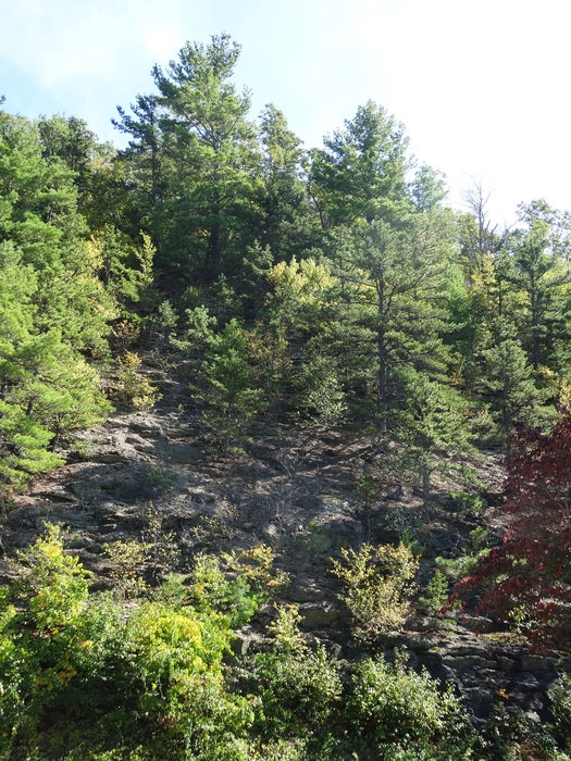 Skyline Drive