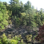 Skyline Drive