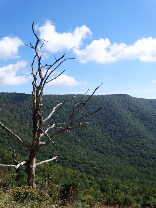 Skyline Drive