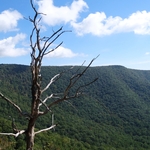 Skyline Drive