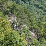 Skyline Drive