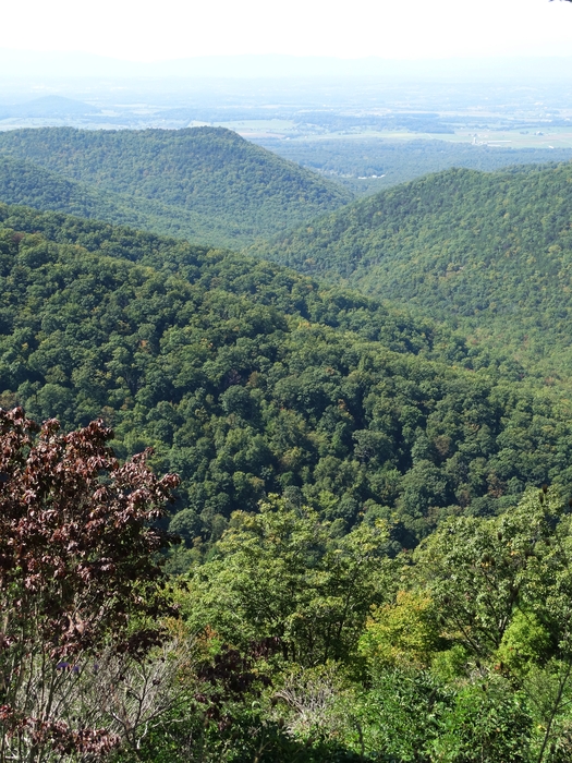 Skyline Drive