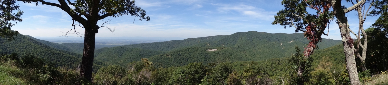 Skyline Drive