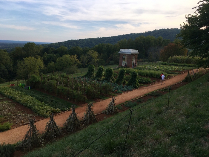Monticello