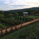 Monticello