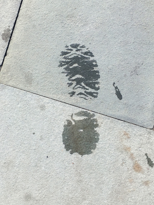 My Footprint