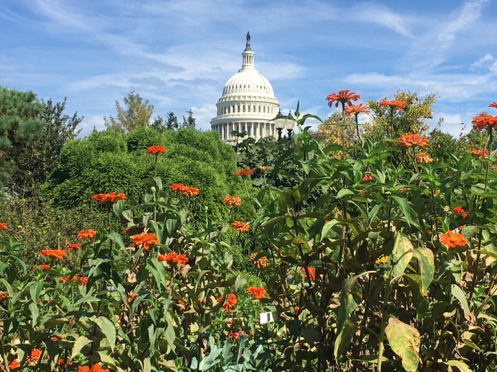United State Botanical Garden