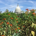 United State Botanical Garden