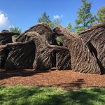 United State Botanical Garden
