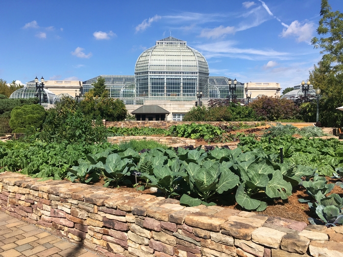 United State Botanical Garden