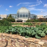 United State Botanical Garden