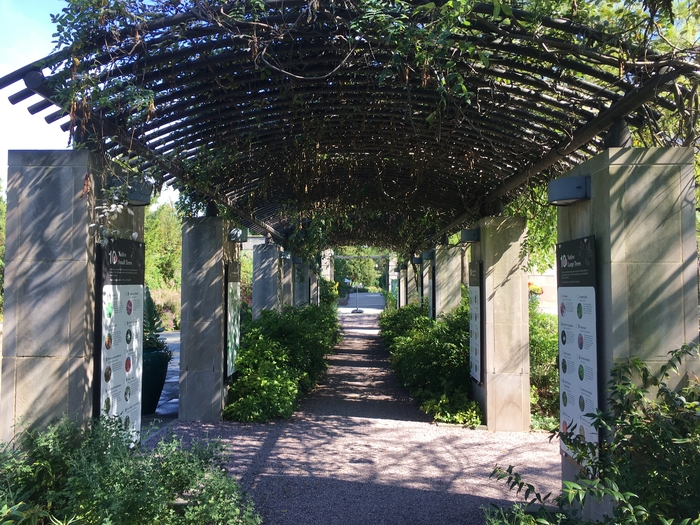 United State Botanical Garden