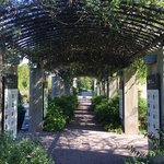 United State Botanical Garden
