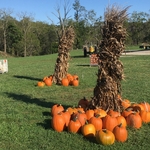 Walker Farm
