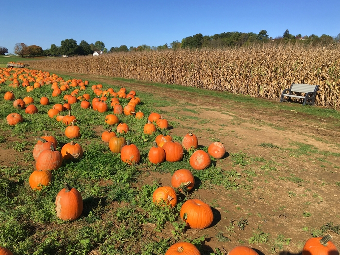 Walker Farm