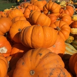 Walker Farm