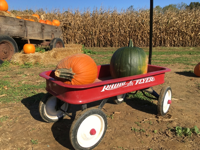 Walker Farm