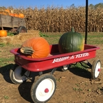 Walker Farm