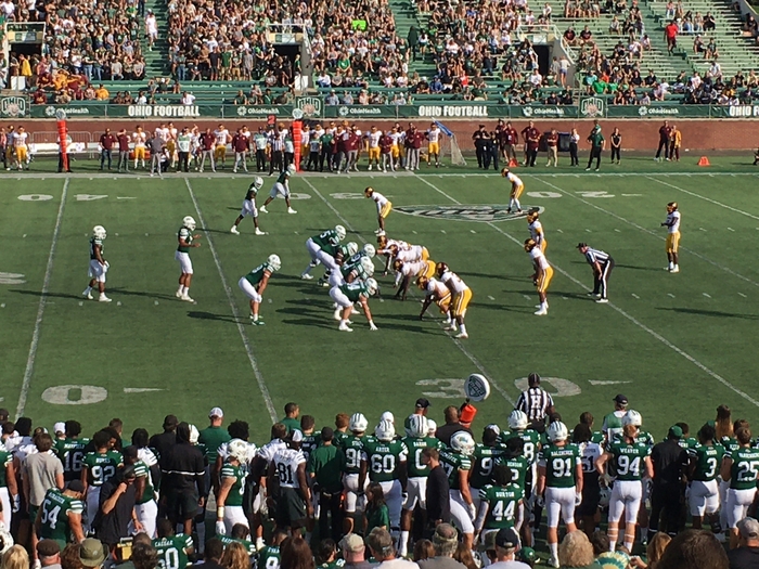 Bobcats