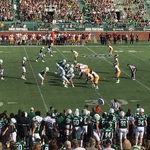 Bobcats