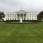 The White House