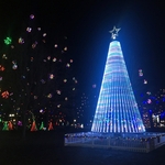 Gallipolis in Lights