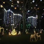 Gallipolis in Lights