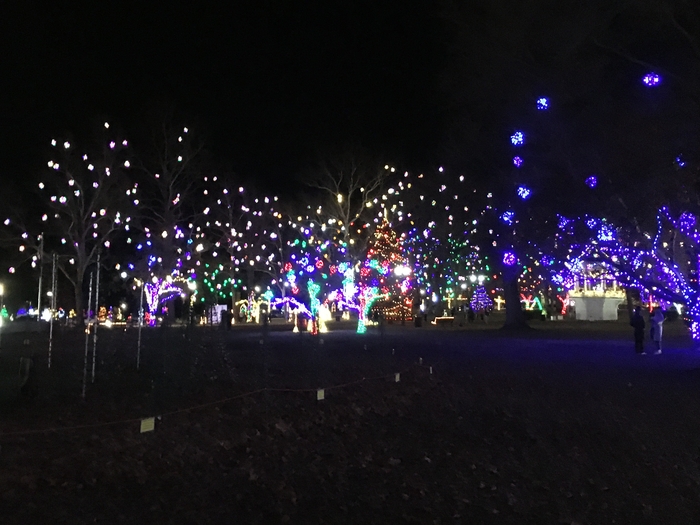 Gallipolis in Lights