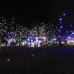 Gallipolis in Lights